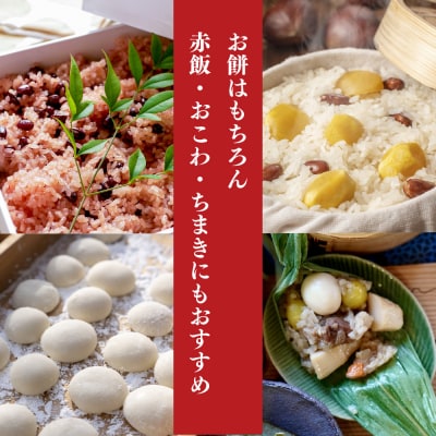 【令和8年産 新米 先行受付】ひよくもち10kg(5kg×2) 農園(H061D28)