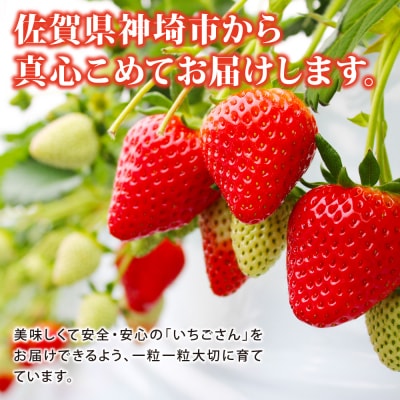 【先行受付】【農家直送】いちごさん240g×2パック(H124101)