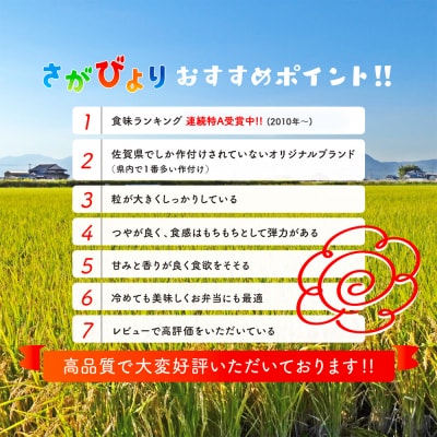【令和7年産】ごはんソムリエが厳選 白米 さがびより 10kg(H063145)