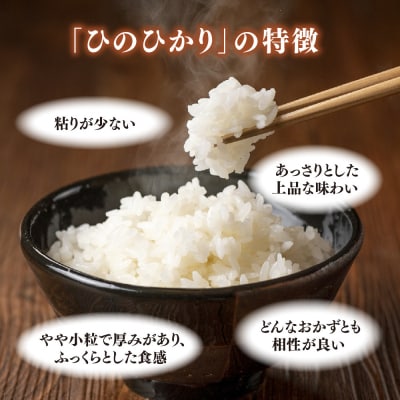 【令和7年産 新米】ごはんソムリエが厳選 白米 ひのひかり 10kg(H063151)