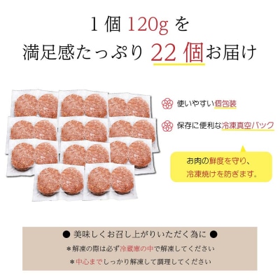 【14日以内発送!】佐賀牛入り ハンバーグ 22個 2.6kg(120g×22個)(H083106)
