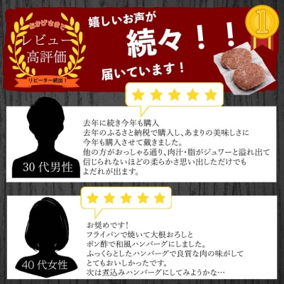 佐賀牛入り ハンバーグ 20+2個 大容量 2.6kg(120g×22個)(H083105)