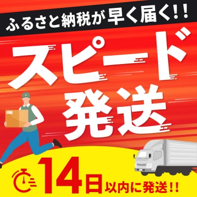 【14日以内発送!】佐賀牛入り ハンバーグ 22個 2.6kg(120g×22個)(H083106)