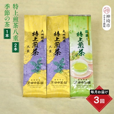【毎月お届け3回】特上煎茶八重2本と季節のお茶1本(合計100g×3本)(H047128)