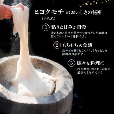 【令和7年産】ヒヨクモチ米 無洗米 9kg(4.5kg×2袋) 佐賀県神埼産(H063154)