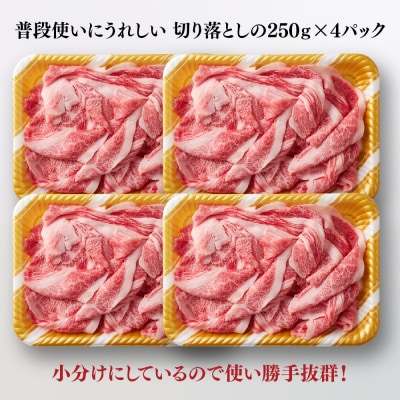 艶さし!【A4～A5】佐賀牛大判霜降り贅沢切り落とし 1kg(250g×4P)(H112342)