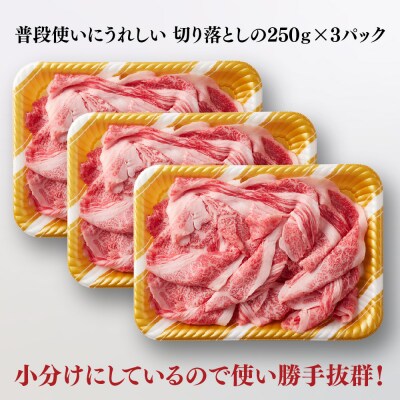 艶さし!【A4～A5】佐賀牛大判霜降り贅沢切り落とし 750g(250g×3P)(H112341)