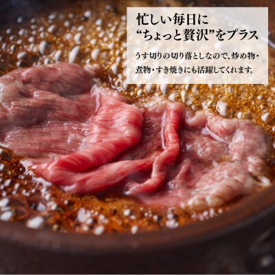 艶さし!【A4～A5】佐賀牛大判霜降り贅沢切り落とし 750g(250g×3P)(H112341)