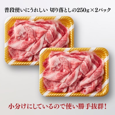 艶さし!【A4～A5】佐賀牛大判霜降り贅沢切り落とし 500g(250g×2P)(H112340)