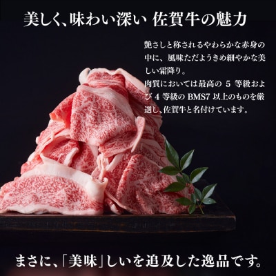 艶さし!【A4～A5】佐賀牛大判霜降り贅沢切り落とし 500g(250g×2P)(H112340)