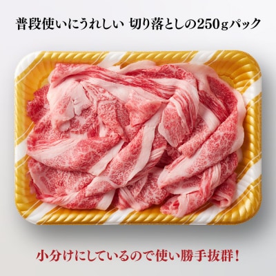 艶さし!【A4～A5】佐賀牛大判霜降り贅沢切り落とし 250g(H112339)