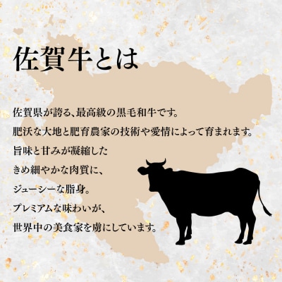 佐賀牛【希少部位・数量限定】ミスジステーキ(約100g×10枚)(H107115)
