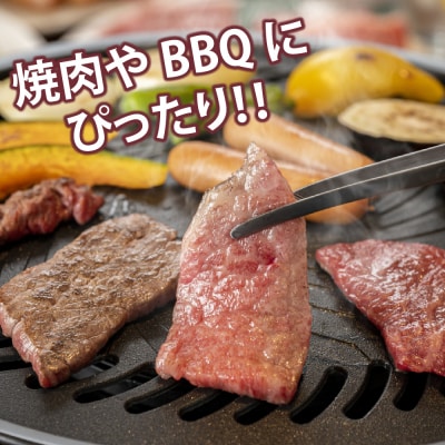 佐賀牛 カルビ 焼肉用 600g【A4～A5ランク】(H085206)