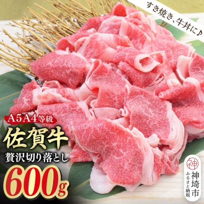 佐賀牛 贅沢 切り落とし 600g【A4～A5ランク】(H085208)