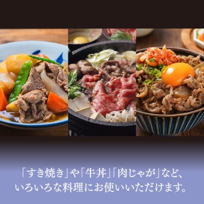 佐賀牛 贅沢 切り落とし 2kg(500g×4)【A4～A5ランク】(H085210)