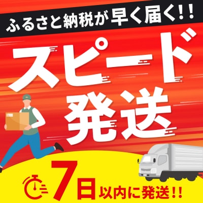 佐賀牛 サーロインステーキ 200g×2枚(合計400g)【A4～A5ランク】(H085211)