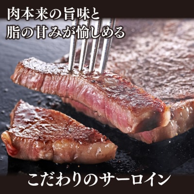 佐賀牛 サーロインステーキ 200g×4枚(合計800g)【A4～A5ランク】(H085212)