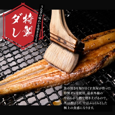店内調理 「お魚屋さんのうなぎ蒲焼き」(H032148)