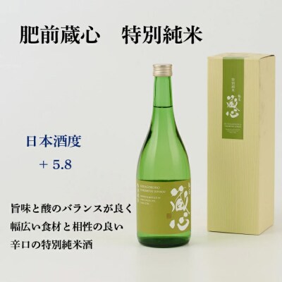 TheSAGA認定酒 特別純米酒おまかせ2本 定期便12回(H072196)