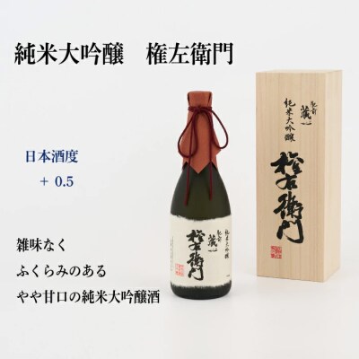 TheSAGA認定酒 純米大吟醸酒おまかせ2本 定期便12回(H072198)