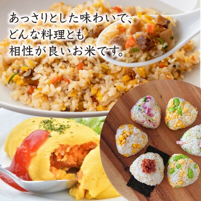 【令和7年産】ひのひかり 精米 5kg×2【2ヶ月定期便】農園(H061A27)