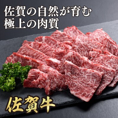 佐賀牛カルビ焼肉800g(400g×2)(H108118)