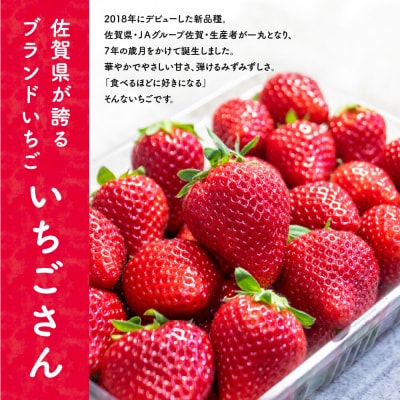 冷凍いちご(いちごさん)3kg(500g×6)(H116231)