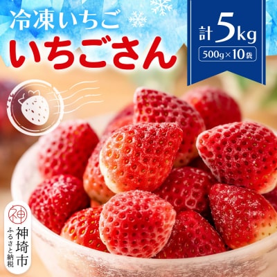 冷凍いちご(いちごさん)5kg(500g×10)(H116233)