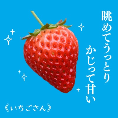 冷凍いちご 1kg(いちごさん)(H126101)