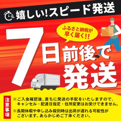 冷凍いちご 2kg(いちごさん)(H126102)