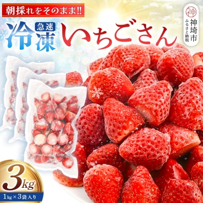 冷凍いちご 3kg(いちごさん)(H126103)