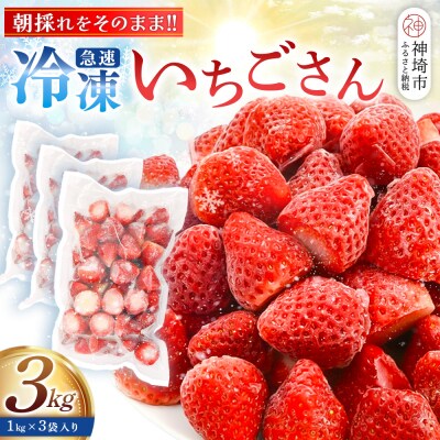 冷凍いちご 3kg(いちごさん)(H126103)