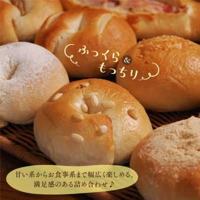 焼きたて直送便 ベーグル10種詰め合わせ(H111118)