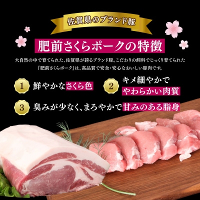 【数量限定】肥前さくらポーク ヒレ&ロースセット(H107120)