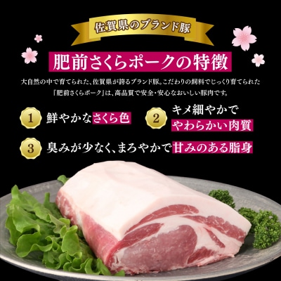 【数量限定】肥前さくらポーク ロースセット(H107124)
