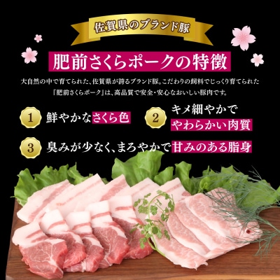 【数量限定】肥前さくらポーク 焼肉セット 1kg(H107125)