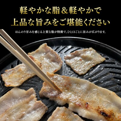 【数量限定】肥前さくらポーク 焼肉セット 1kg(H107125)