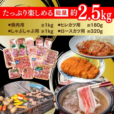【数量限定】肥前さくらポーク 食べ比べセット 2.5kg(H107119)