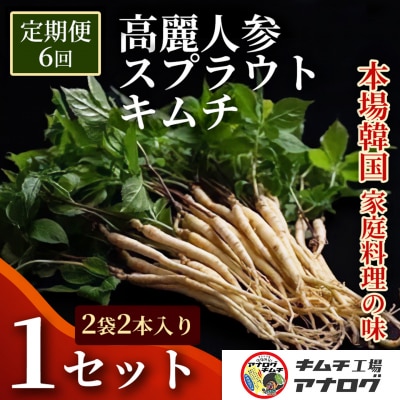 【6カ月定期便】熟成秘伝の高麗人参スプラウトキムチ(1本入り×2袋)(H104189)