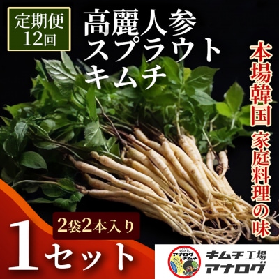 【12カ月定期便】熟成秘伝の高麗人参スプラウトキムチ(1本入り×2袋)(H104190)
