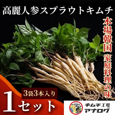 熟成秘伝の高麗人参スプラウトキムチ(1本入り×3袋)(H104191)