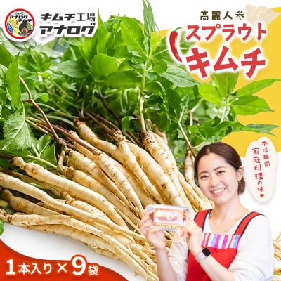 熟成秘伝の高麗人参スプラウトキムチ(1本入り×9袋)(H104192)