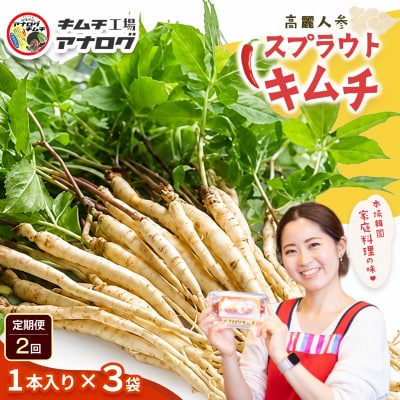 【2カ月定期便】熟成秘伝の高麗人参スプラウトキムチ(1本入り×3袋)(H104193)