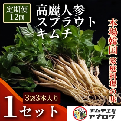 【12カ月定期便】熟成秘伝の高麗人参スプラウトキムチ(1本入り×3袋)(H104195)