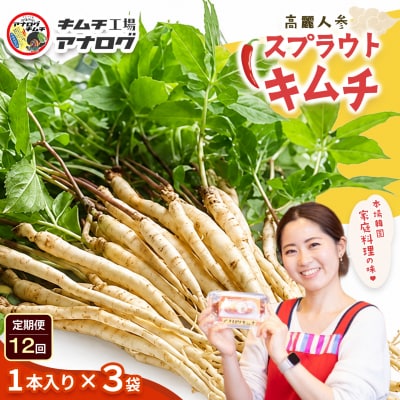 【12カ月定期便】熟成秘伝の高麗人参スプラウトキムチ(1本入り×3袋)(H104195)