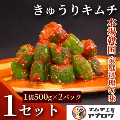 熟成秘伝のオイ(きゅうり)キムチ(500g×2パック)(H104207)