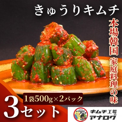熟成秘伝のオイ(きゅうり)キムチ(500g×6パック)(H104208)