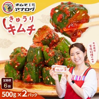 【6カ月定期便】熟成秘伝のオイ(きゅうり)キムチ(500g×2パック)(H104211)