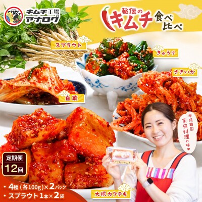 【12カ月定期便】4種のキムチ(各100g×2P)+スプラウトキムチ(1本×2袋)(H104269)