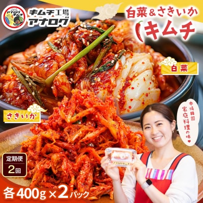 【2カ月定期便】人気2種の本格キムチ 白菜&さきいかセット(各400g×2パック)(H104287)